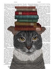 Grey Cat with Books on Head