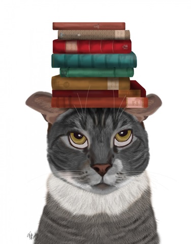 Grey Cat with Books on Head