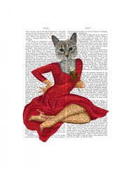 Grey Cat with White Rose