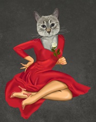 Grey Cat with White Rose