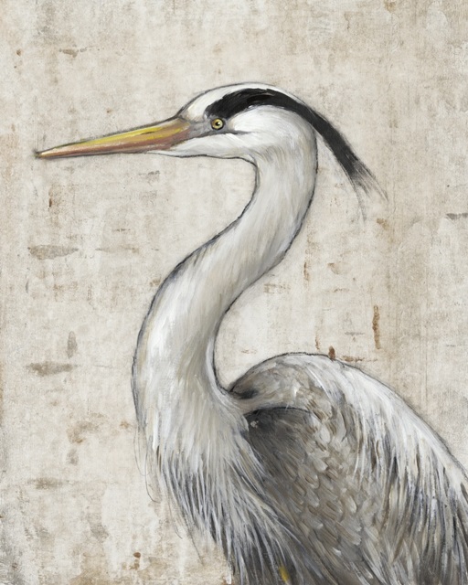 Grey Heron II