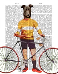 Greyhound Cyclist