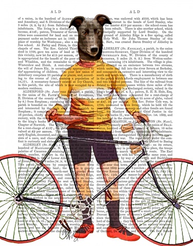 Greyhound Cyclist