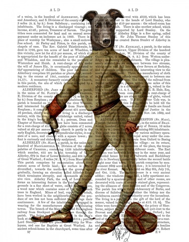 Greyhound Fencer Dark Full