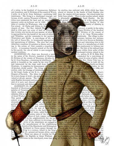 Greyhound Fencer Dark Portrait