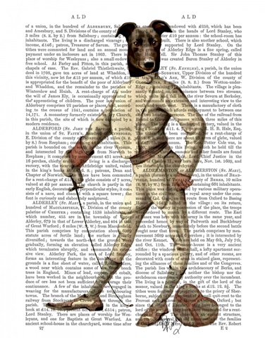 Greyhound Fencer in Cream Full