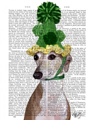Greyhound in Green Knitted Hat