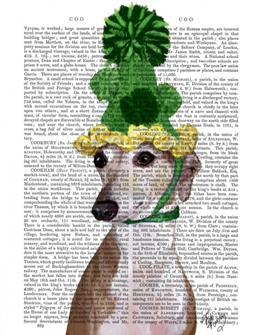 Greyhound in Green Knitted Hat
