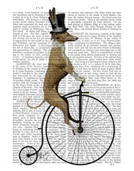 Greyhound on Black Penny Farthing Bike