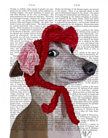 Greyhound with Red Woolly Hat