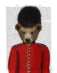 Guardsman Bear