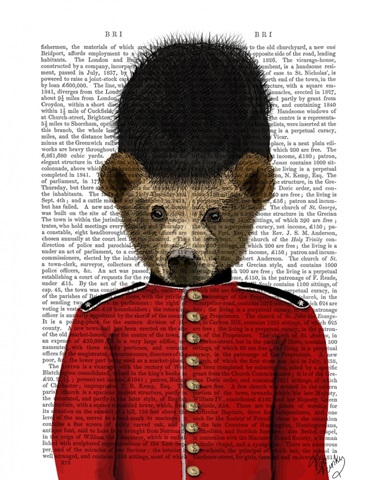 Guardsman Bear