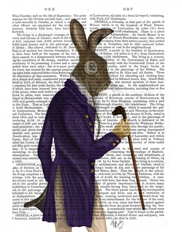 Hare In Purple Coat