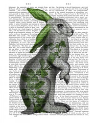 Hare with Green Ears