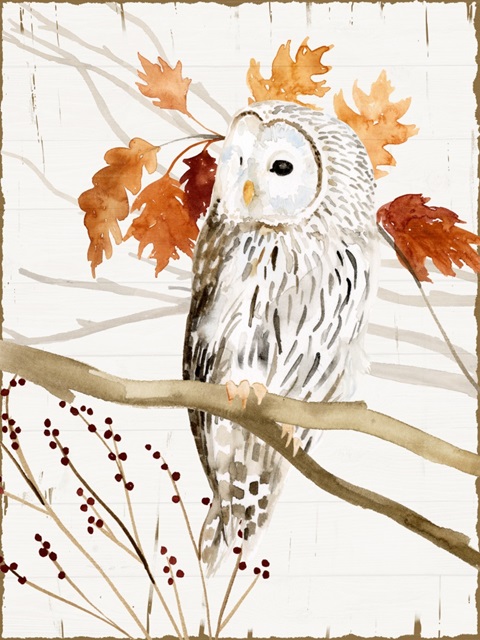 Harvest Owl II