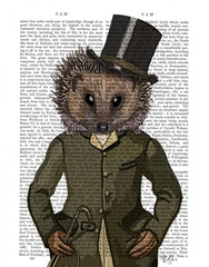 Hedgehog Rider Portrait