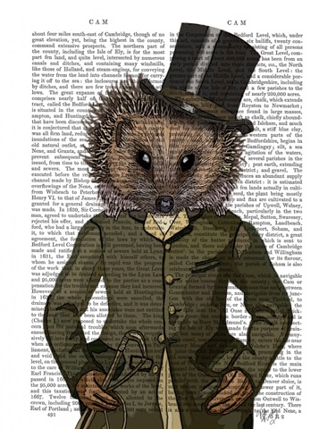 Hedgehog Rider Portrait