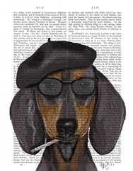 Hipster Dachshund Black and Tan