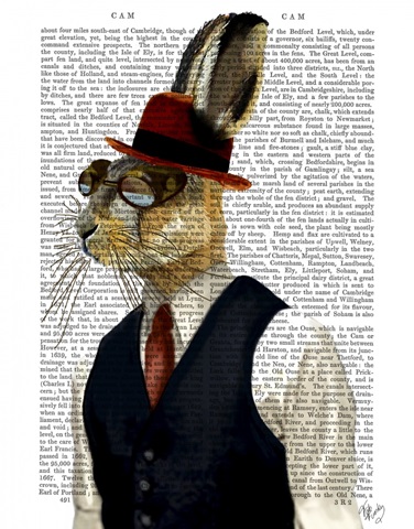 Horatio Hare In Waistcoat