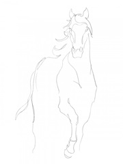 Horse Contour I