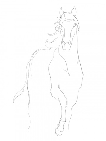 Horse Contour I