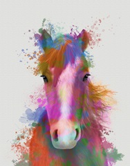 Horse Portrait 2 Rainbow Splash