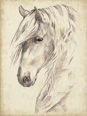 Horse Portrait Sketch II