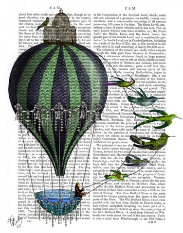 Hot Air Balloon and Birds