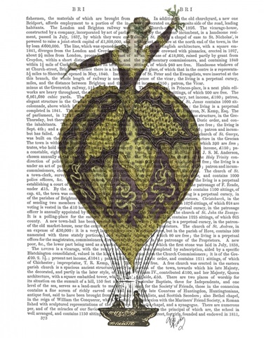 Hot Air Balloon Woman 1