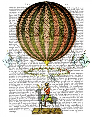 Hot Air Balloon Zephire