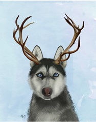 Husky and Antlers