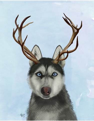 Husky and Antlers
