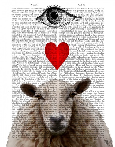 I Heart Ewe