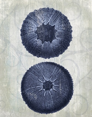 Indigo Blue Sea Urchins b