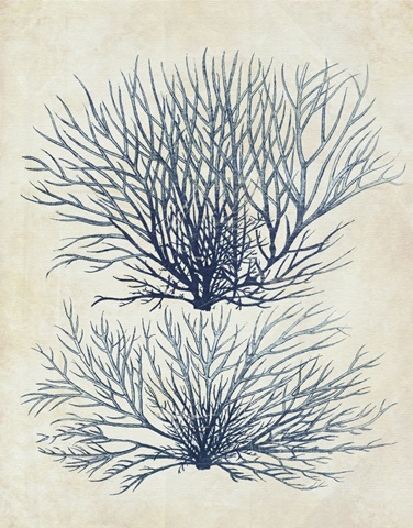 Indigo Blue Seaweed 1 a