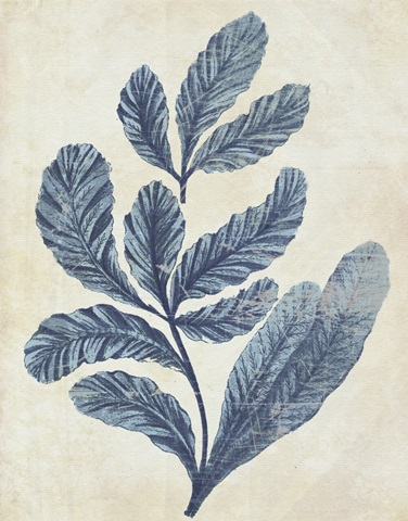 Indigo Blue Seaweed 2 a