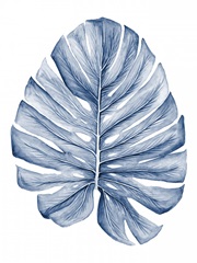 Indigo Tropical Leaves I
