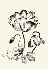 Ink Wash Floral IV - Poppy