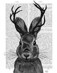 Jackalope with Grey Antlers
