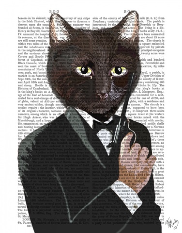 James Bond Cat