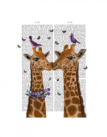 Kissing Giraffes with Birds