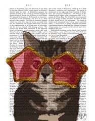 Kitten in Star Sunglasses