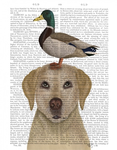 Labrador and Duck