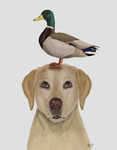 Labrador and Duck