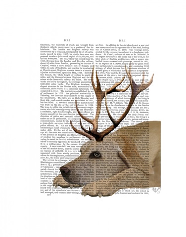 Labrador with Antlers