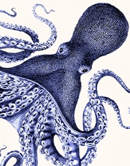 Landscape Blue Octopus