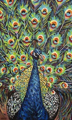 Lavish Peacock II