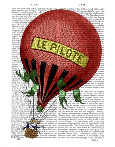 Le Pilote Hot Air Balloon