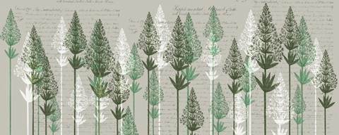 Leafy Pines, Juniper