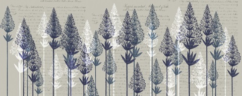 Leafy Pines, Midnight